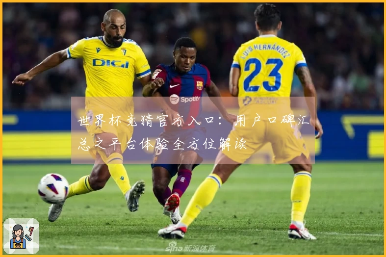 世界杯竞猜官方入口：用户口碑汇总之平台体验全方位解读
