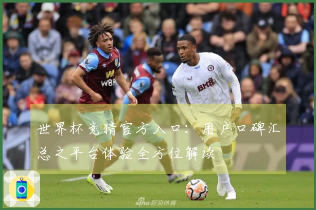 世界杯竞猜官方入口：用户口碑汇总之平台体验全方位解读
