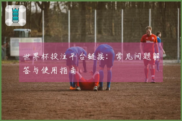 世界杯投注平台链接：常见问题解答与使用指南