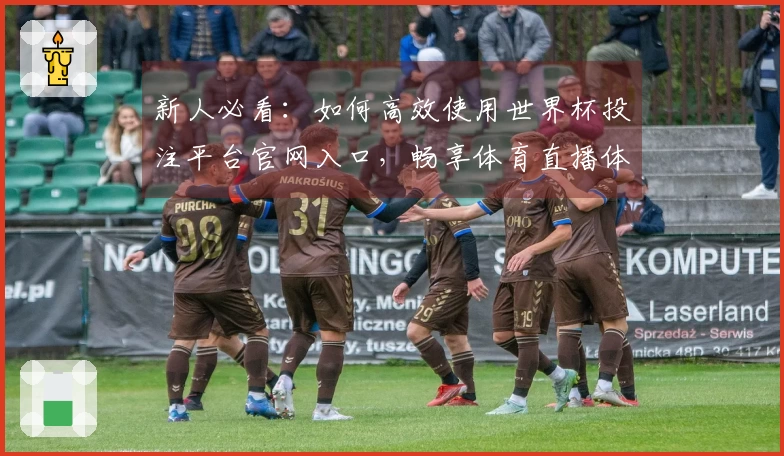 新人必看：如何高效使用世界杯投注平台官网入口，畅享体育直播体验