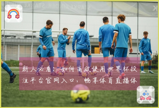 新人必看：如何高效使用世界杯投注平台官网入口，畅享体育直播体验